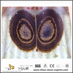 Drak xim av zoo nkauj Marble haiv nrog Seamless tsim