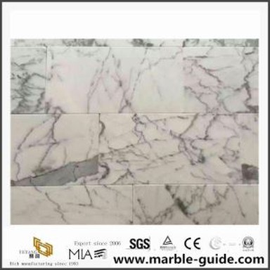 Natural Pob Zeb Arabescato Dawb Marble Rau Sab Hauv Flooring / Phab Ntsa Cov Pobzeb